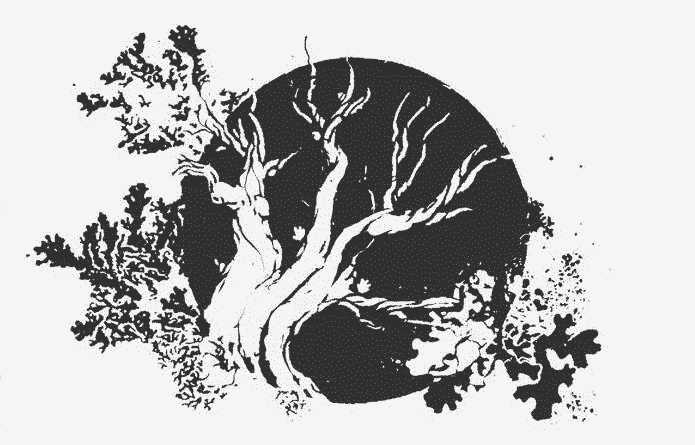 A monochrome drawing of a tree in front of the moon by Rostiger