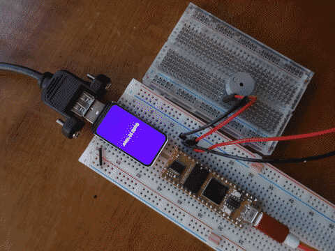 an esp32 with a little built-in
screen next to a daisy on a breadboard. the daisy is wired to a piezo speaker
for testing, but I haven't yet made the SPI wiring between the esp32 and daisy here.