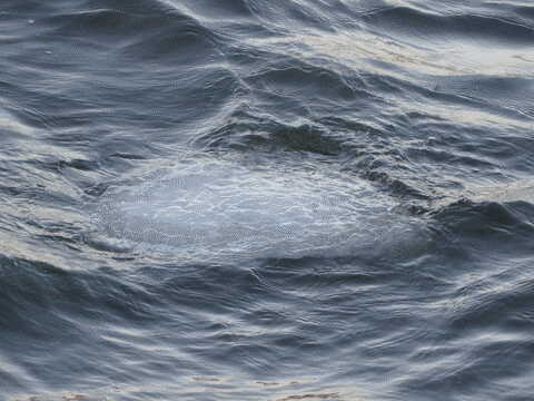 ice floating beneath the river