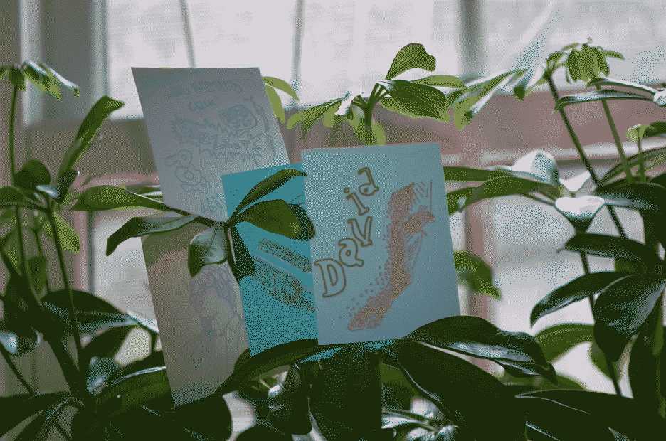 Trading cards in a plant